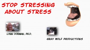 stop stressing about stress